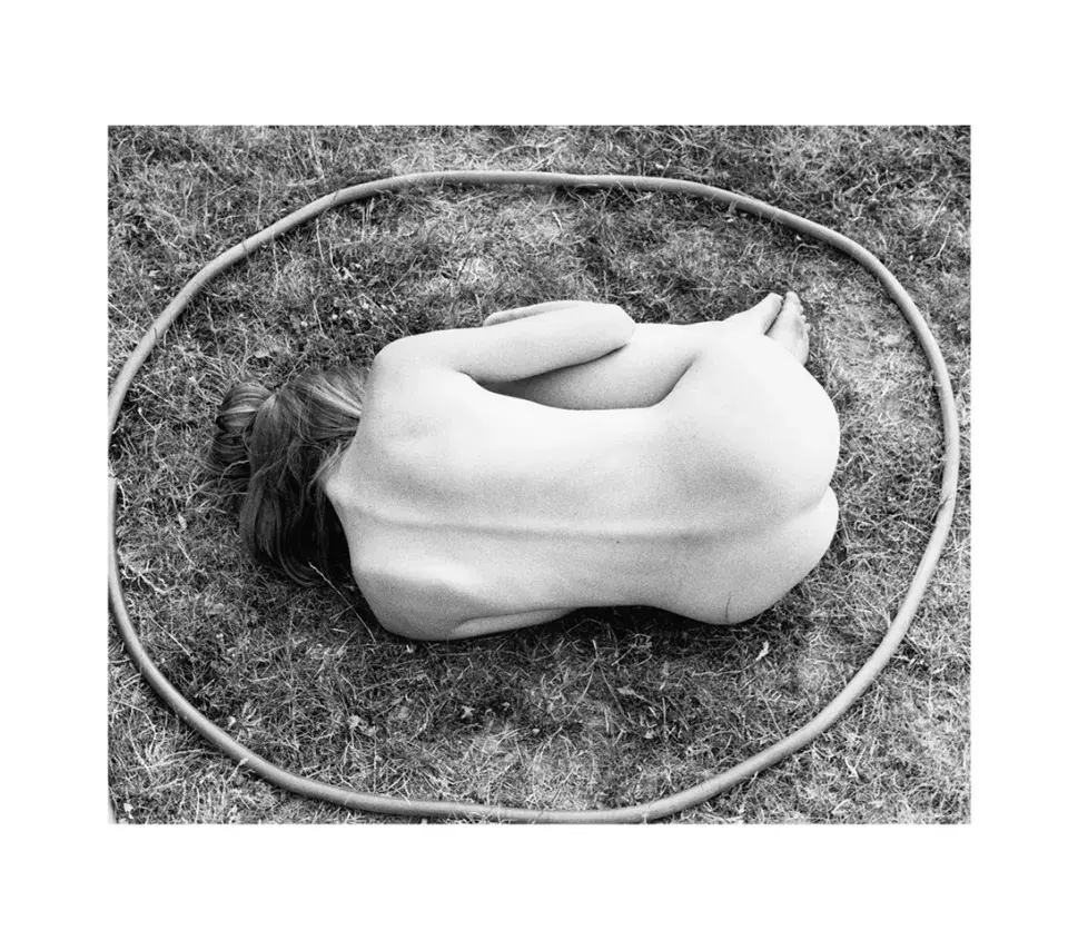 terra Veronica Mecchia