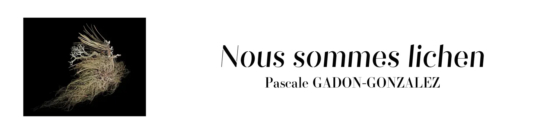 exposition nous sommes lichen