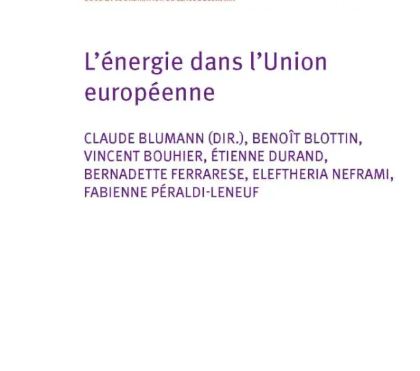 L'énergie dans l'Union européenne - Commentaire Maigret 