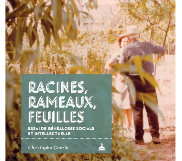 Racines, rameaux, feuilles